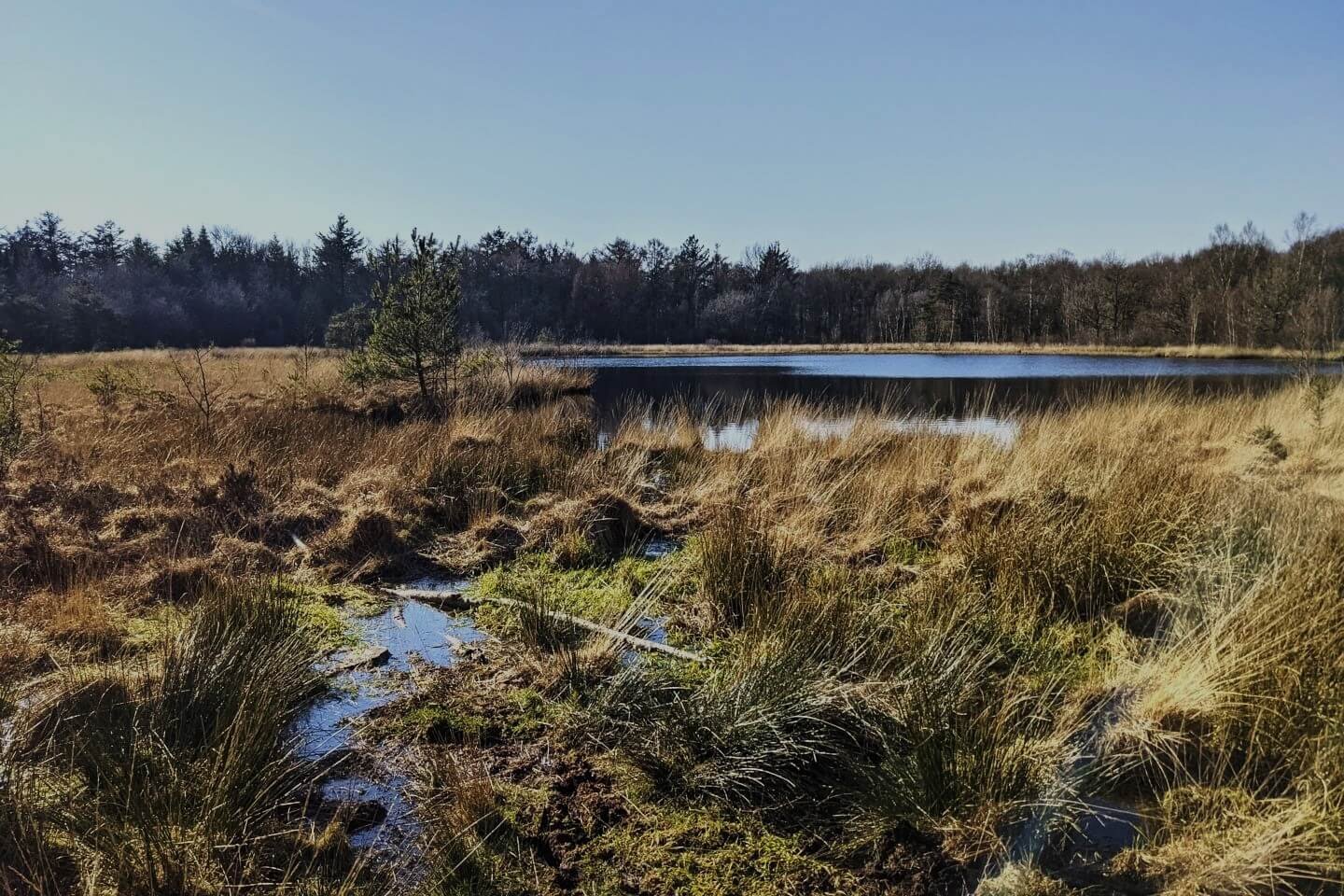 omgeving