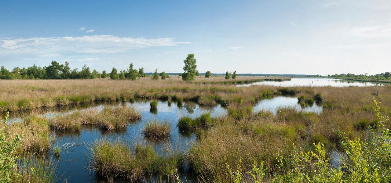 omgeving