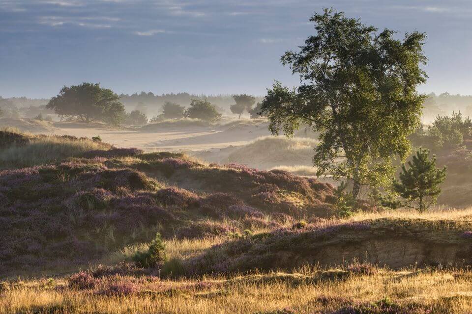 omgeving